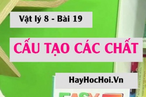 Các chất được cấu tạo như thế nào? - Vật lý 8 bài 19
